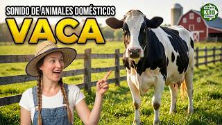 SONIDO real de VACA 🐄🔊 Increibles SONIDOS DE ANIMALES DOMESTICOS