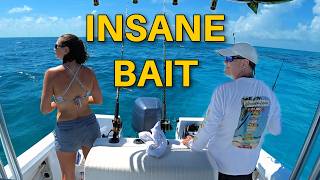 The BEST Florida Keys Bait Was Everywhere!