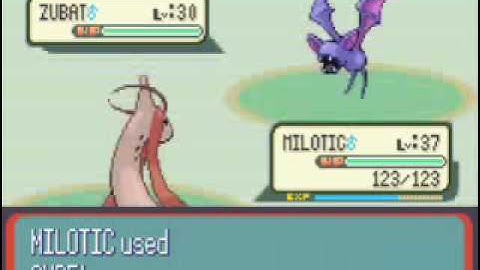 Pokemon Ruby Walkthrough Part 39