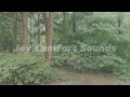 작은 공원의 빗소리. 나에게 집중하는 시간. 명상. 숙면. 블랙스크린. 빗소리ASMR