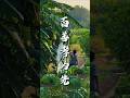 潮汕养囝歌，百善孝为先。为人父母，方懂母恩不易。祝天下妈妈，母亲节快乐，岁岁安康。#母亲节#中国传统文化 #潮汕民俗文化