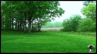 Spring Soliloquy