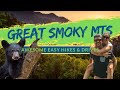 EPIC EASY DAY HIKES IN GREAT SMOKY MOUNTAINS | The 7 best adventures that anyone can do