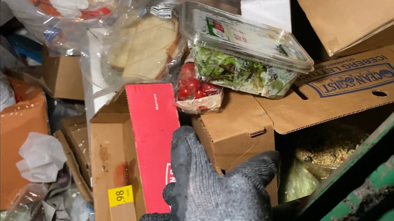 Dumpster Diving 3 Aldi Stores! 52 Free Grocery Shopping YouTube