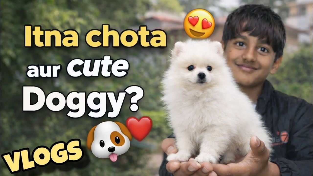 Itna chota aur cute Doggy ? 🐶❤️