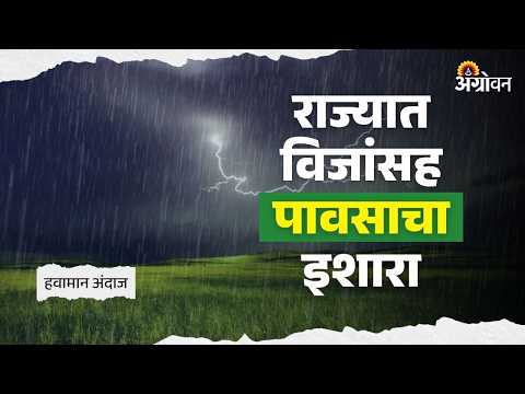 Rain Update : मराठवाडा, मध्य महाराष्ट्र, कोकण आणि विदर्भात पावसाचा अंदाज | Agrowon