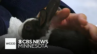 How the Miracle of Birth Center at the state fair started thumbnail