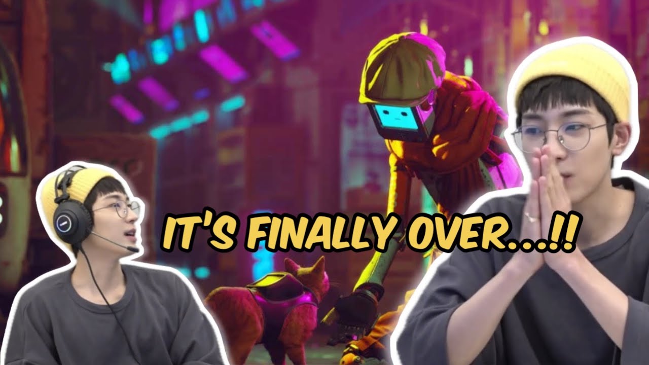 Wonwoo Playing STRAY Cats 🐈 | Part 2