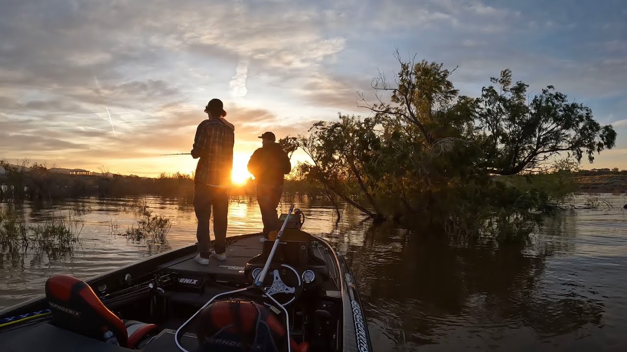 Fishin 48 Cactus Cup bass fishing tournament on Alamo Lake Arizona!