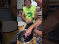 Master the Art of De-bearding Mussels