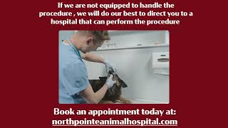 NorthPointe Animal Hospital AD 3 Northpointe Veterinary