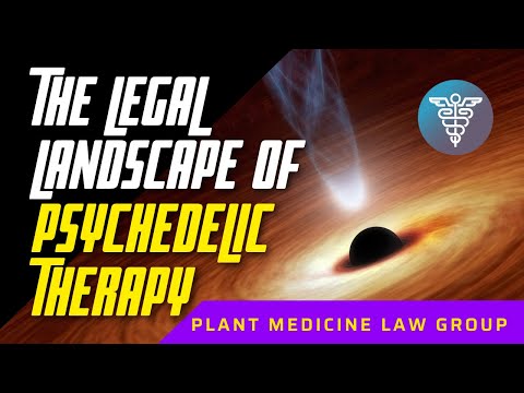 The Legal Landscape of Psychedelic Therapy