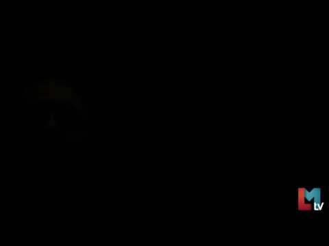 NO Me Voy A Dejar - Bad Bunny X Tali | Videos Official