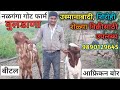 Sirohi शेळीपालन। Sirohi sheli kashi ओळखावी | #Osmanabadi शेळ्या मिळतील | Shetkari | FARMING VLOGS |