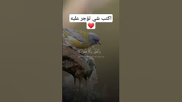 تلاوة خاشعة جميله بصوت ياسر الدوسري ارح سمعك ❤ #ياسر_الدوسري #اكسبلور