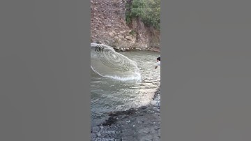 how to throw cast net #shorts #ytviral #castnet