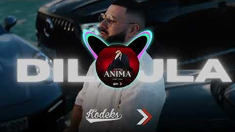 SAJFER-ANIMA PART TWO (FULL ALBUM MIX)