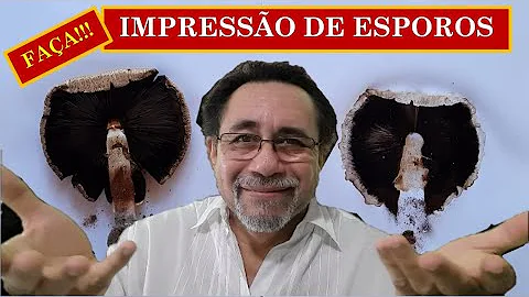 Como eliminar fungos no ambiente?