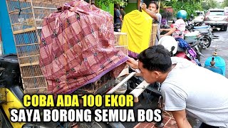 THIS BIRD IS CHEAP BUT LUXURIOUS, PRICE IS ONLY 20 THOUSAND BUT QUALITY IS 2 MILLION