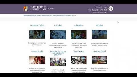 Introducing the Intranet Video