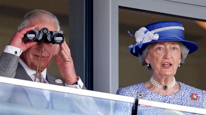 Lady Hussey 'didn't need to be traduced' for remar...