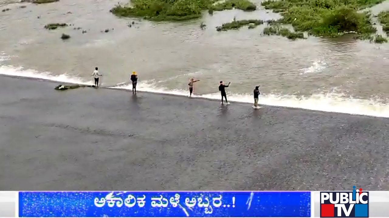 ಧಾರಾಕಾರ ಮಳೆಗೆ ತತ್ತರಿಸಿದ ಬೆಣ್ಣೆ ನಗರಿ..! Heavy Rain Damages Paddy Crops ...