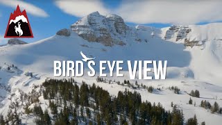 BIRD&#39;S EYE VIEW- FPV skiing with Blaine Gallivan