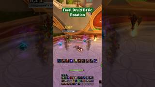 Basic Feral Druid Rotation in 60 Seconds #foryou #midnight #worldofwarcraft