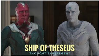 The Ship Of Theseus Thought Experiment Who Is The True Vision Wandavision White Vision