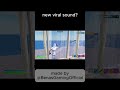 new viral sound?