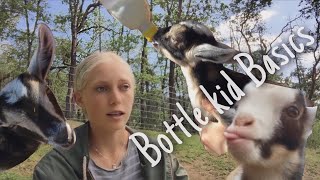 How To Raise, BOTTLE FEED, and Wean Baby Goats- Explained || Goat Milking & Bottle Feeding Routine