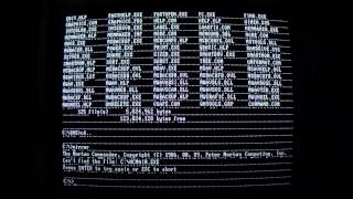 Virus.DOS.Mirror and Virus.DOS.Miss-D