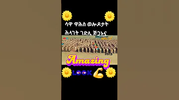 May 2024 ነጻነት ሃገረይ 