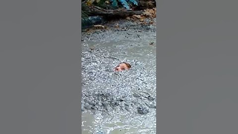 Quicksand, Watch your step in the woods!