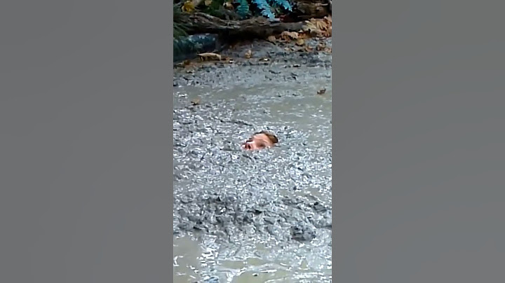 Quicksand, Watch your step in the woods!