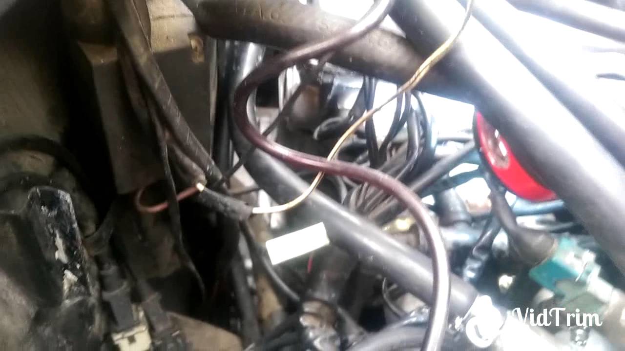1986 Alfa Romeo Spider Veloce Wiring Diagram - Wiring Diagram Schema