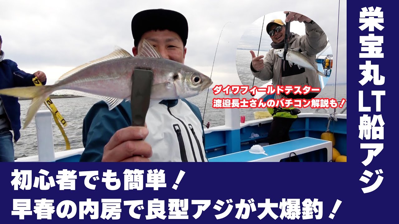 千葉県　木更津栄宝丸　初心者でも簡単！早春の内房で良型アジが大爆釣！　コロ釣　関東