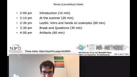 Introduction to the layer-fMRI hands-on workshop as part of BID4 (Renzo Huber)