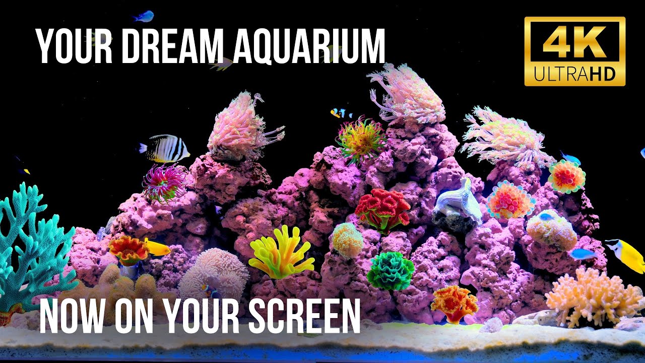🧘‍♂️ Подводный аквариум в 4K | 12 часов красивых рыб и звуков воды для глубокого сна