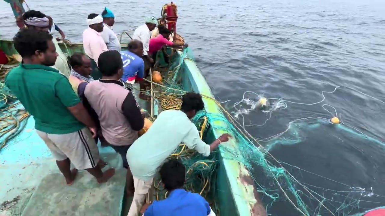 முதல் நாள் மீன்கள் 🐠 