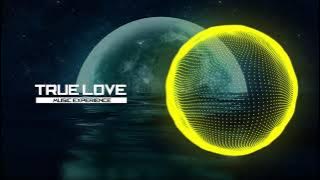Alan Walker Style | Allie X - True Love (Goetter Remix)
