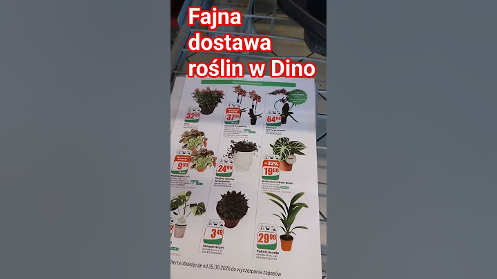 dostawa roślin w Dino 3.07.2025