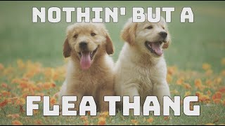 Nothin' But A Flea Thang (Snoop & Dre Parody) | Young Jeffrey's Song of the Week