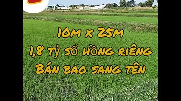 Bán Đất thổ cư. tại ấp tràm lạc xã mỹ hạnh bắc đức hoà long an. 10m x 25m 1,8 tỷ sổ hồng riêng. BST