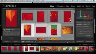 How to Export Photos from Lightroom to SmugMug