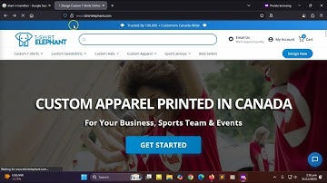 Reviewing UI/UX Issues on tshirtelephant.com Website with Simple CSS Tweaks!