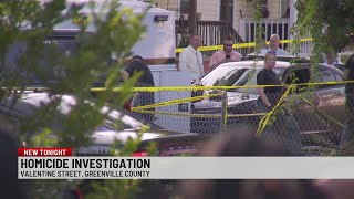 Woman found fatally shot at Greenville Co. car crash