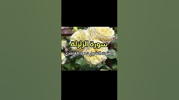 سورة الزلزلة بصوت الشيخ سعد الغامدي 💛