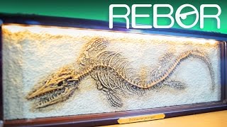 Rebor Tylosaurus Proriger Charon Fossil Oddities 001 Light Up Display Unboxing & Review