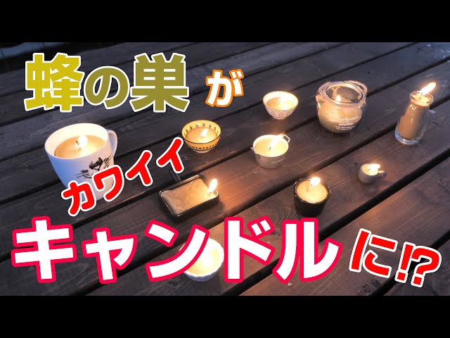 可愛いロウソク】蜂の巣から可愛いキャンドルを作ってみました【蜜蝋